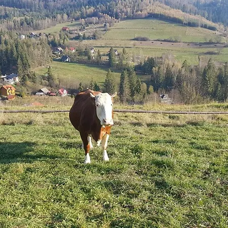 Appartamento Mj Kamienna Wisła