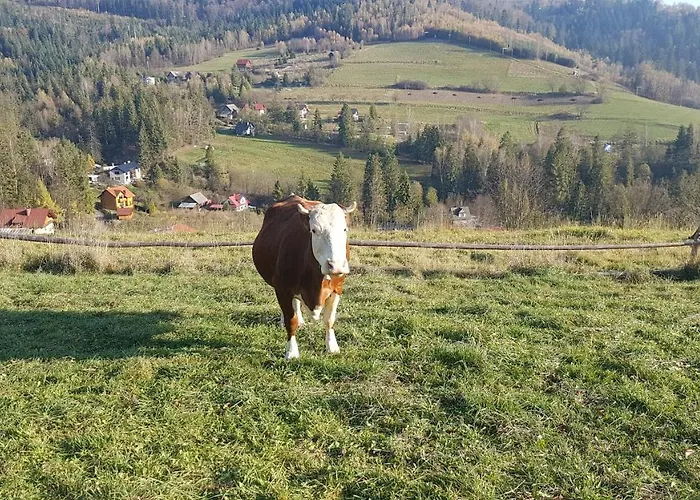 Appartamento Mj Kamienna Wisła